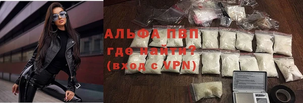 индика Абинск