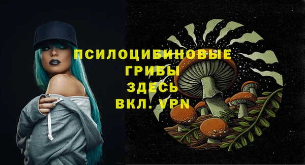 сатива Алзамай