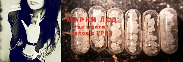 сатива Алзамай